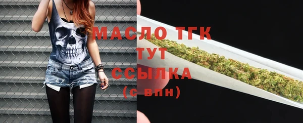 ПСИЛОЦИБИНОВЫЕ ГРИБЫ Горно-Алтайск