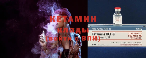 ПСИЛОЦИБИНОВЫЕ ГРИБЫ Горно-Алтайск