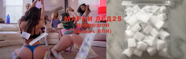 ПСИЛОЦИБИНОВЫЕ ГРИБЫ Горно-Алтайск