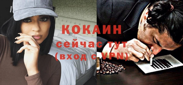 ПСИЛОЦИБИНОВЫЕ ГРИБЫ Горно-Алтайск