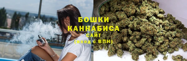 ПСИЛОЦИБИНОВЫЕ ГРИБЫ Горно-Алтайск