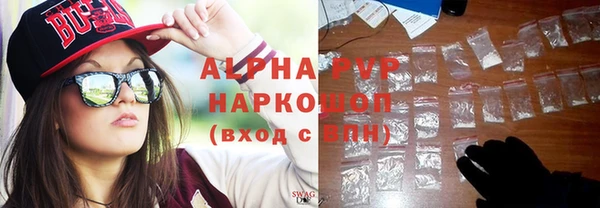 ПСИЛОЦИБИНОВЫЕ ГРИБЫ Горно-Алтайск