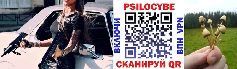 ОМГ ОМГ tor  Мичуринск  Галлюциногенные грибы Psilocybine cubensis 